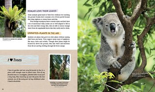Sample content 2_Deep Roots