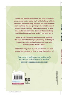 Couverture arri&egrave;re_Demon Hunters