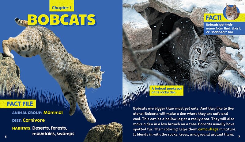 Aperçu du contenu 2_Dens (Learn About: Animal Homes)