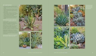 Sample content_Designing the Lush Dry Garden