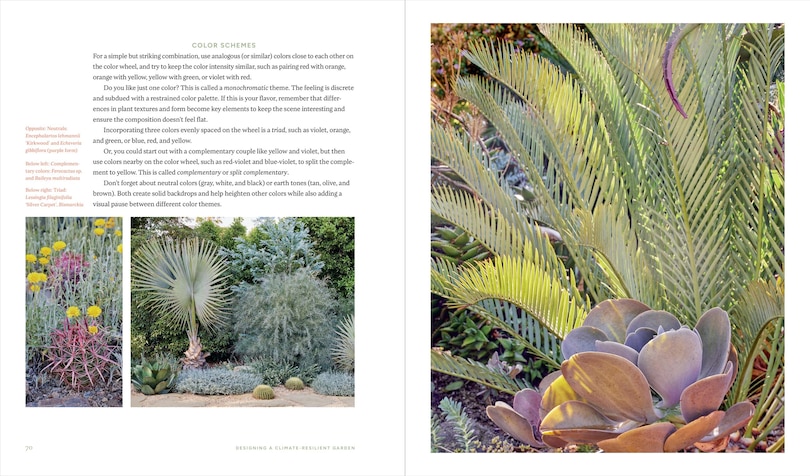 Sample content 2_Designing the Lush Dry Garden