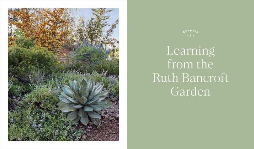 Sample content 3_Designing the Lush Dry Garden