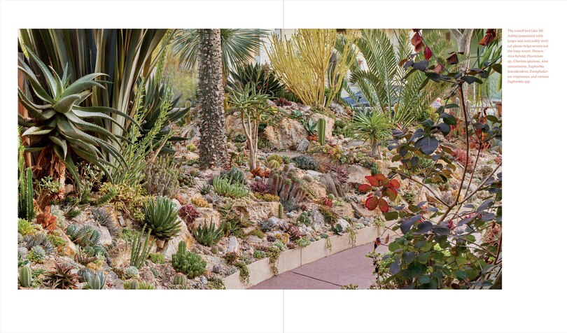 Sample content 5_Designing the Lush Dry Garden