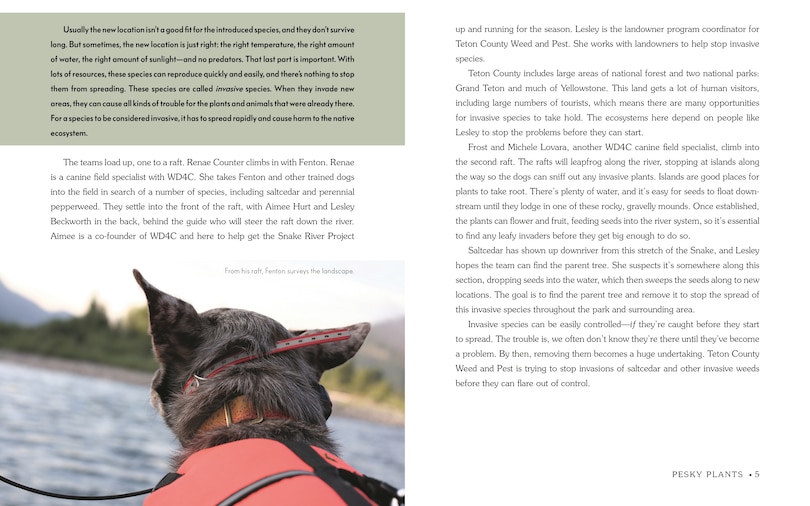 Sample content_Detective Dogs