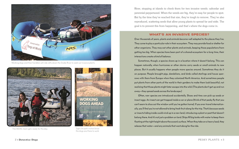 Sample content 2_Detective Dogs