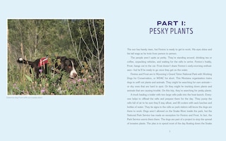 Sample content 3_Detective Dogs