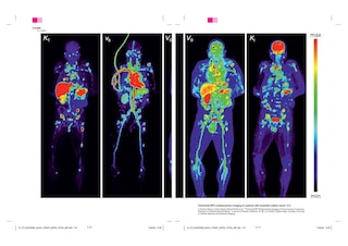 Aper&ccedil;u du contenu 3_Diagrams: A Project by AMO/OMA