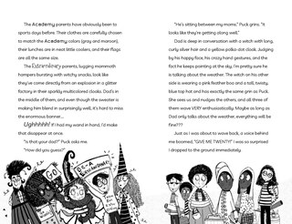 Aper&ccedil;u du contenu 2_Diary of an Accidental Witch 4-Book Box Set, Books 1-4