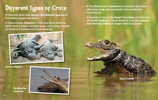 Aper&ccedil;u du contenu 2_Did You Know? Crocodiles