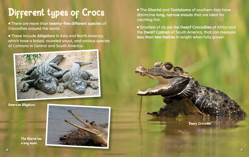 Aper&ccedil;u du contenu 2_Did You Know? Crocodiles