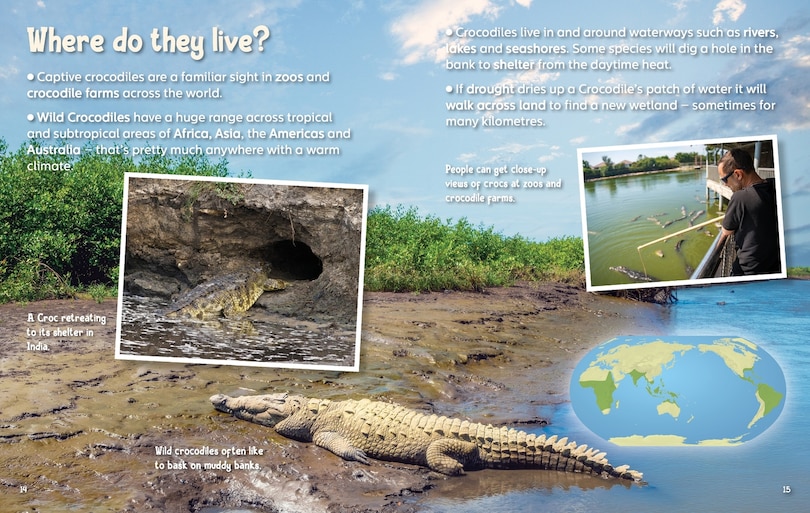 Aper&ccedil;u du contenu 3_Did You Know? Crocodiles
