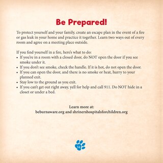 Aper&ccedil;u du contenu 2_Digger The Hero Dog