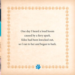 Aper&ccedil;u du contenu 3_Digger The Hero Dog