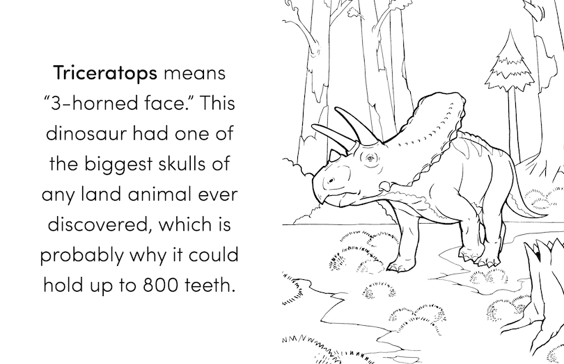 Aper&ccedil;u du contenu_Dinosaur Book for Kids