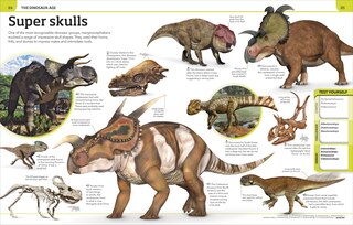 Sample content 4_Dinosaur Knowledge Genius