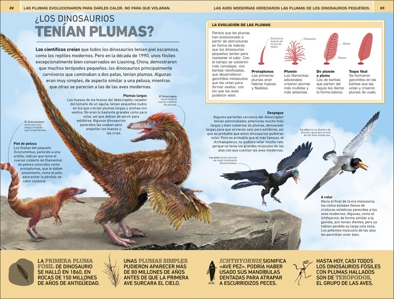 Sample content 3_Dinosaurios: 1000 curiosidades incre&Atilde;&shy;ble (1,000 Amazing Dinosaurs Facts)