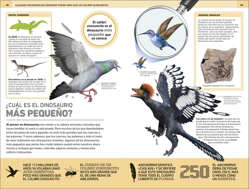 Sample content 4_Dinosaurios: 1000 curiosidades incre&Atilde;&shy;ble (1,000 Amazing Dinosaurs Facts)