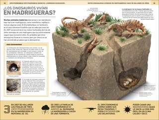Sample content 5_Dinosaurios: 1000 curiosidades incre&Atilde;&shy;ble (1,000 Amazing Dinosaurs Facts)