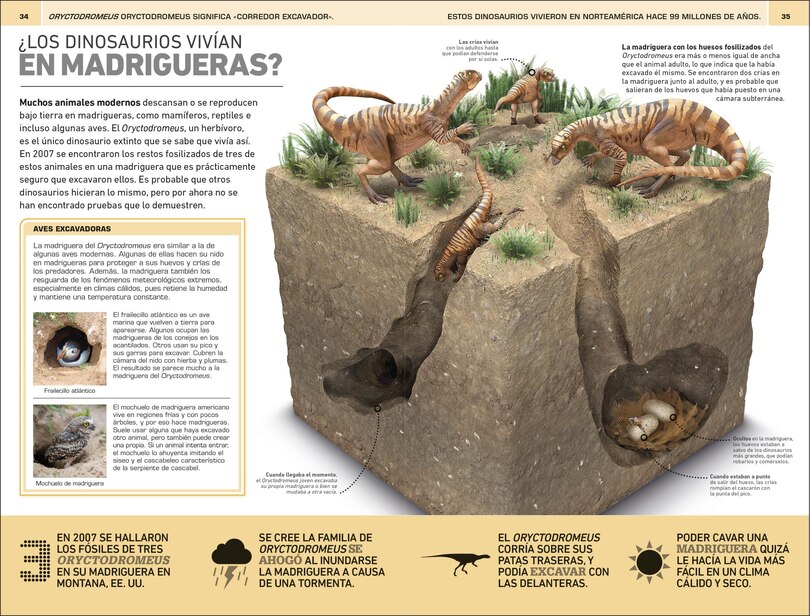 Sample content 5_Dinosaurios: 1000 curiosidades incre&Atilde;&shy;ble (1,000 Amazing Dinosaurs Facts)