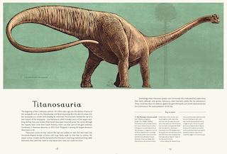 Aperçu du contenu 2_Dinosaurium