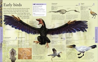 Sample content_Dinosaurs: A Visual Encyclopedia, 2nd Edition