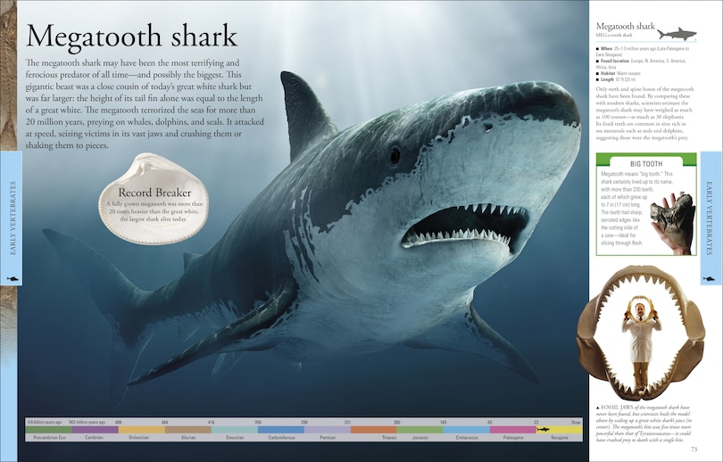 Sample content 3_Dinosaurs: A Visual Encyclopedia, 2nd Edition