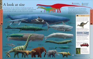 Sample content 4_Dinosaurs: A Visual Encyclopedia, 2nd Edition