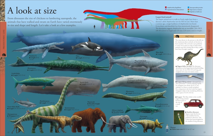 Sample content 4_Dinosaurs: A Visual Encyclopedia, 2nd Edition