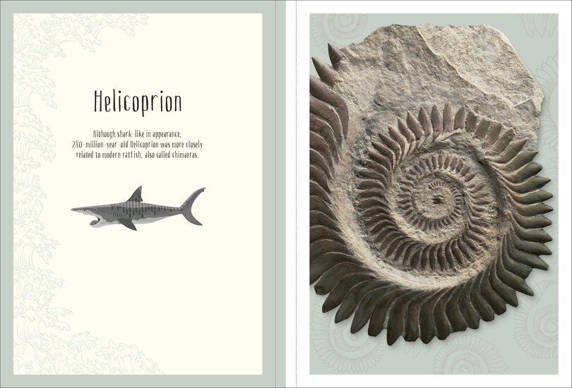 Sample content 4_Dinosaurs and Other Prehistoric Life Poster Book