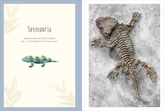 Sample content 5_Dinosaurs and Other Prehistoric Life Poster Book
