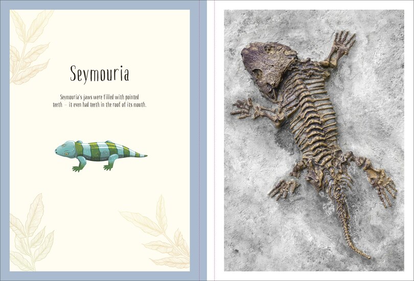 Sample content 5_Dinosaurs and Other Prehistoric Life Poster Book