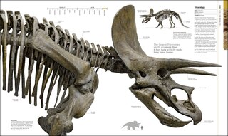 Aperçu du contenu 3_Dinosaurs And Prehistoric Life