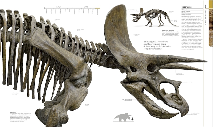 Aperçu du contenu 3_Dinosaurs And Prehistoric Life