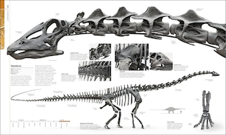 Aperçu du contenu 5_Dinosaurs And Prehistoric Life