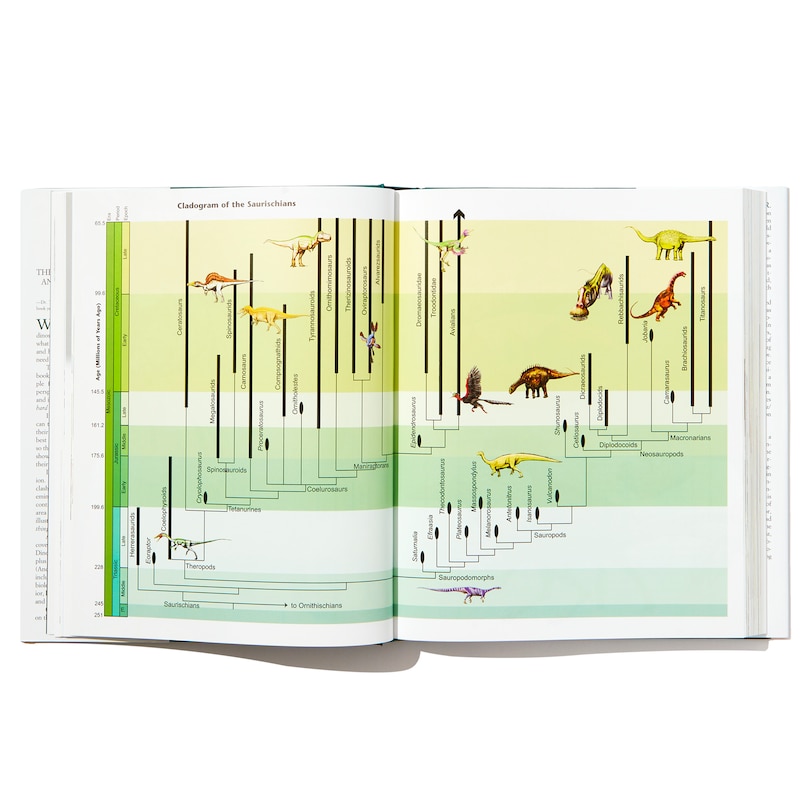 Sample content_Dinosaurs