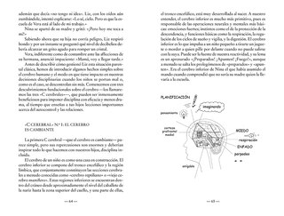 Aper&ccedil;u du contenu 3_Disciplina sin l&aacute;grimas / No-Drama Discipline