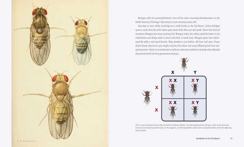 Sample content 2_Discovering Life’s Story: The Birth of Genetics