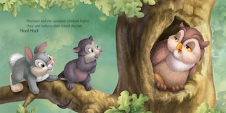 Sample content 2_Disney Bunnies: Thumper and His Friends