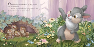 Sample content 4_Disney Bunnies: Thumper and His Friends