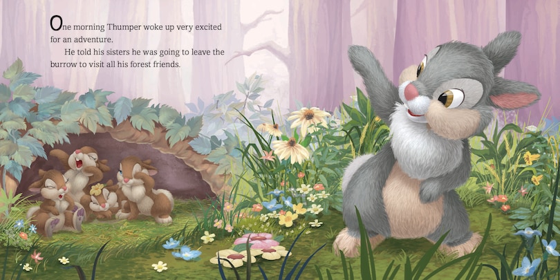 Sample content 4_Disney Bunnies: Thumper and His Friends