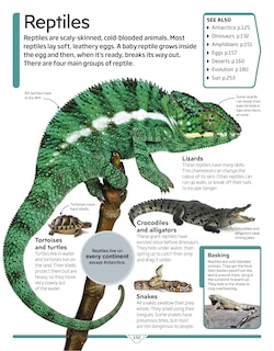 Aper&ccedil;u du contenu 2_Dk Children's Encyclopedia