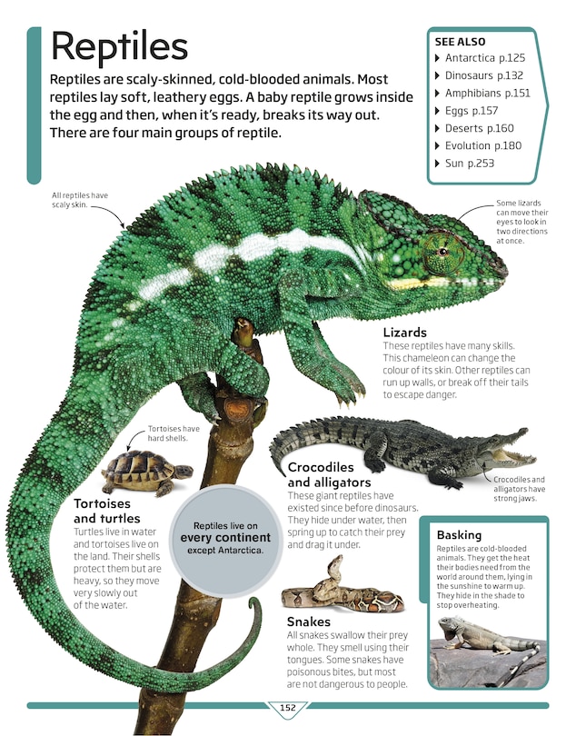 Aper&ccedil;u du contenu 2_Dk Children's Encyclopedia