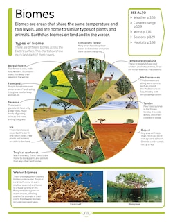 Aper&ccedil;u du contenu 3_Dk Children's Encyclopedia