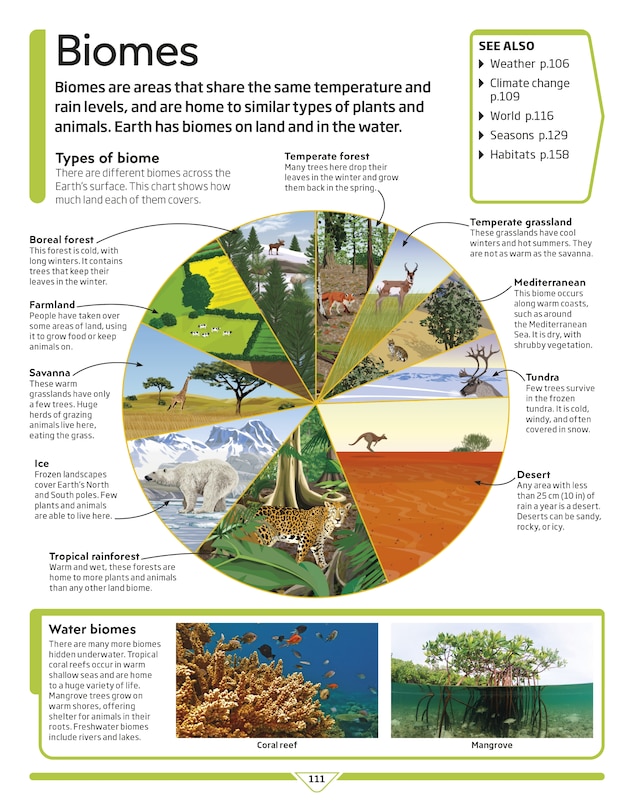 Aper&ccedil;u du contenu 3_Dk Children's Encyclopedia