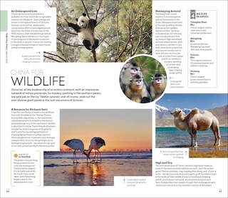 Sample content 5_DK China