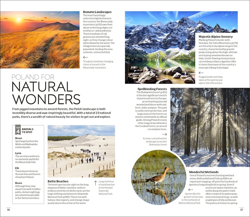 Sample content 4_DK Poland