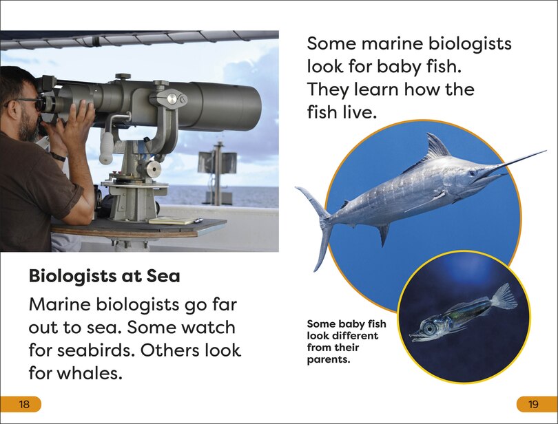 Sample content_DK Super Readers Level 1 A Day in the Life of a Marine Biologist