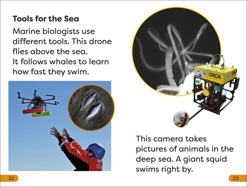 Sample content 2_DK Super Readers Level 1 A Day in the Life of a Marine Biologist