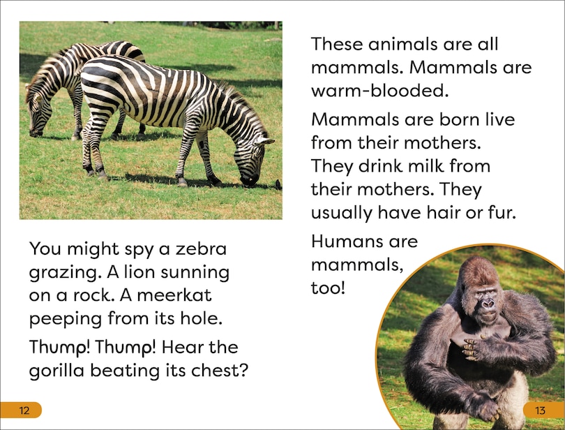 Sample content 2_DK Super Readers Level 1 A Trip to the Zoo