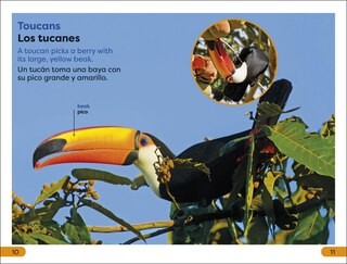 Sample content_DK Super Readers Level 1 Spanish Bilingual Jungle Animals â€“ Animales de la selva